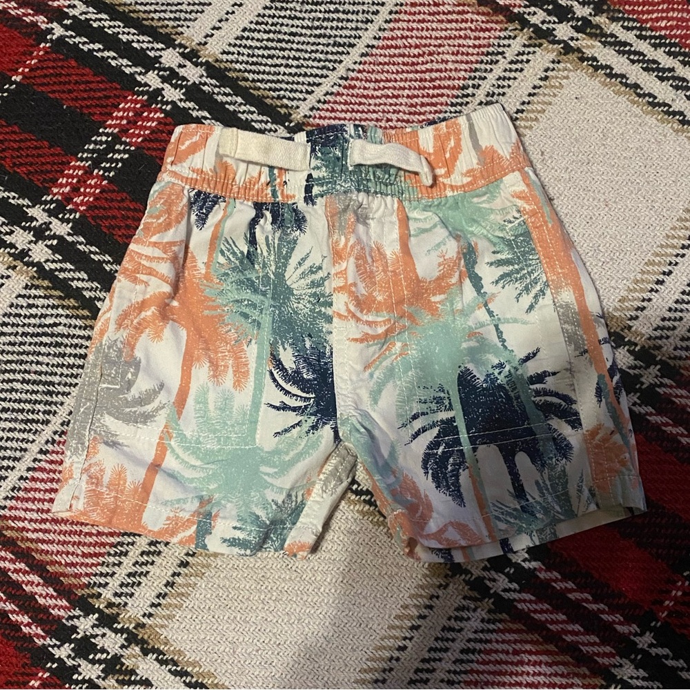 Colorful Palm Tree Shorts